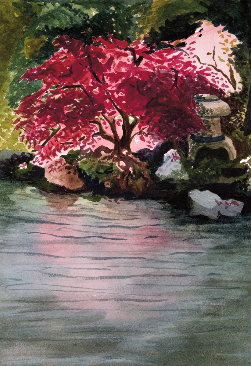 A watercolor of a red japanese maple next to a grey body of water