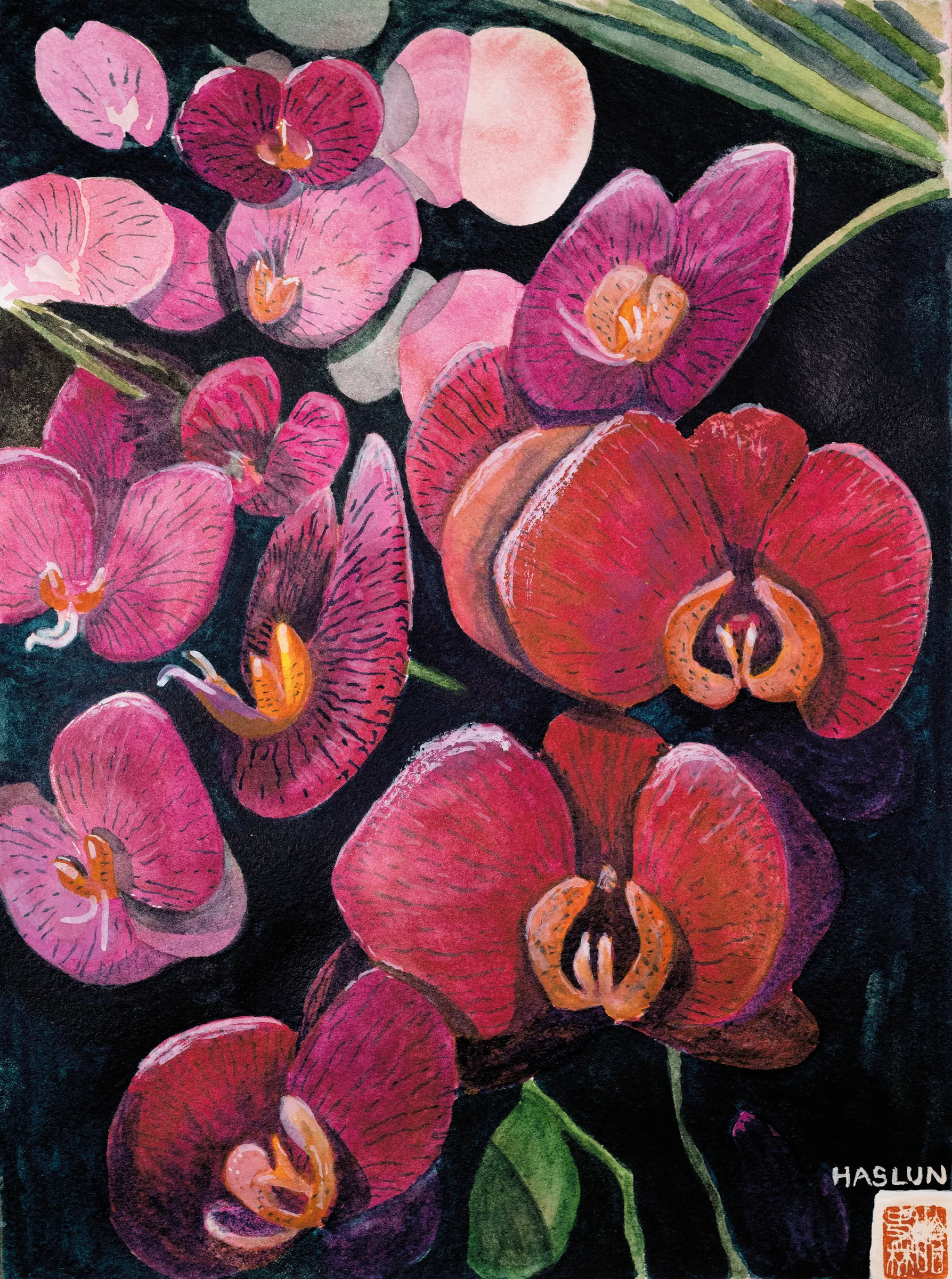 A watercolor of bright pink orchids